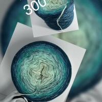 No. 300