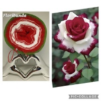 Floribunda