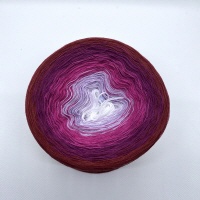 Englische Rose 1